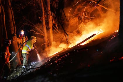 Brigadistas trabajaron ayer en el combate del incendio en el Parque Nacional Los Alerces