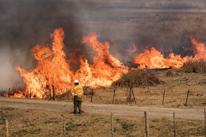 Brigadistas y voluntarios luchan para controlar las llamas, pero poco pueden hacer para prevenirlas