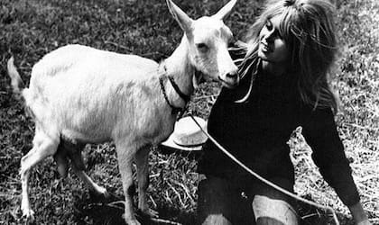 Brigitte Bardot compró una cabra en pleno rodaje