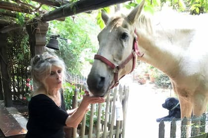 Brigitte cumplió 90 años en septiembre de 2024, rodeada de muchos animales y pocas personas en su casa de La Madrague, en Saint-Tropez