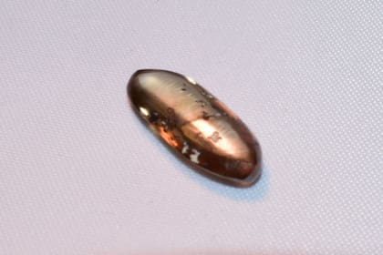 Brillante y marrón, así es el diamante hallado por la familia