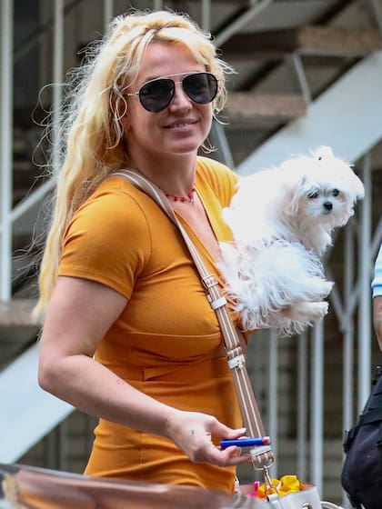 Britney Spears cenó con su manager, Cade Hudson, y su pequeño perro
