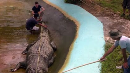 Britton ayudando a medir al cocodrilo Lolong en la ciudad de Bunawan