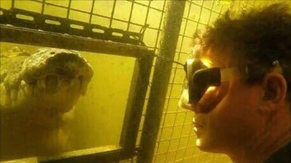 Britton y su mascota Smaug