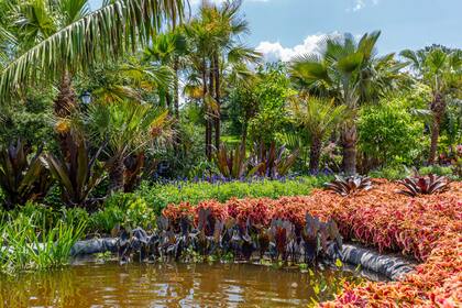 Bromelias, orejas de elefante y otras especies características que Burle Marx incorporó en sus trabajos paisajísticos fueron incluidas en la exposición.