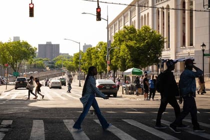 Bronx es el distrito más afectado por la proliferación de roedores