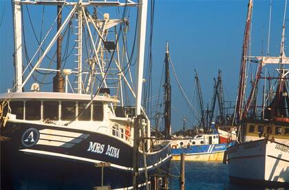 Brownsville se encuentra en el Golfo de Mexico, debido a esto su puerto se convirtió en un gran centro de comercio