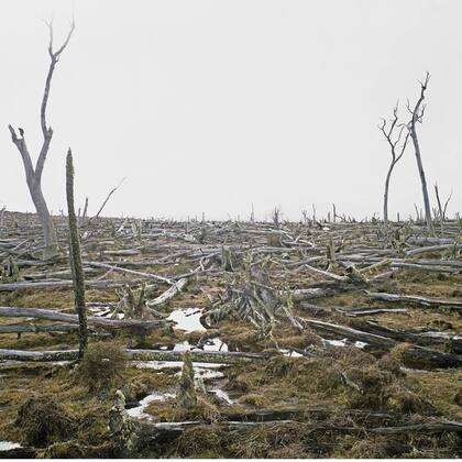 Bruma incluye imágenes de tierras ocupadas en la campaña al desierto, basurales en Río Grande y un bosque muerto de lengas en Tolhuin, en Tierra del Fuego