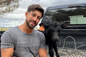Un reconocido influencer del agro denunció la desaparición de 190 animales de un campo familiar