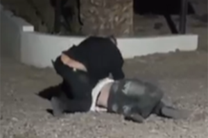 Brutal golpiza de dos patovicas a un adolescente de 16 años: quedaron imputados