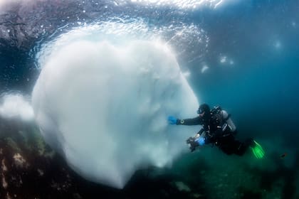 Buceando en una expedición en la Antártida