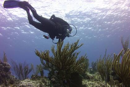 Buceo en los arrecifes de Pequeño Caimán