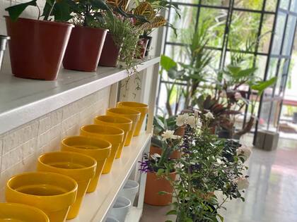 Buen café, plantas y macetas a la venta y puertas abiertas para las mascotas, ¿qué más pedirle a Fauna?