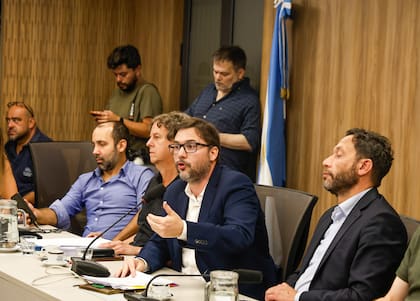 Buenos Aires 16mar26. Cámara de Diputados, Anexo Sala 1 .Conferencia de la comisión investigadora del Caso LIBRA, estafa con Criptomonedas.