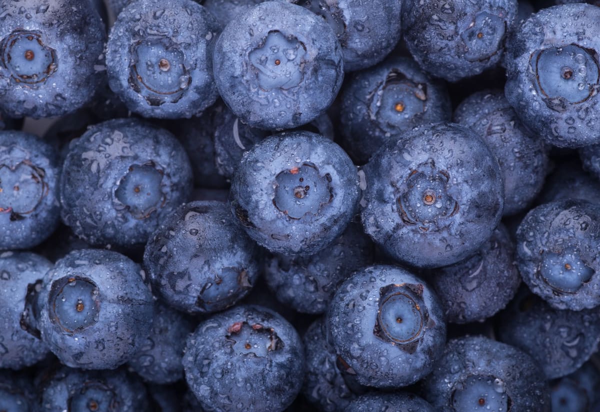 La fruta ideal para limpiar y depurar los riñones de forma natural: es pequeña, dulce y azul
