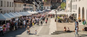 La villa medieval en Suiza de los quesos y chocolates que tiene mucho más para irar