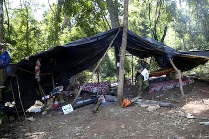 Fueron detectados 50 campamentos narco y en los alrededores se encontraron trampas cazabobos