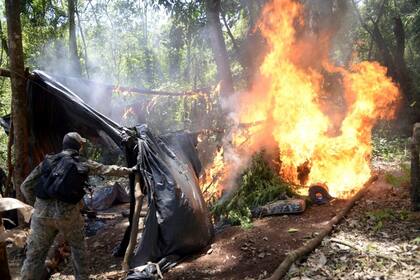 Tropas especiales paraguayas quemaron parte de las 345 toneladas de marihuana que fueron incautadas durante varios días de trabajo conjunto con la Gendarmería