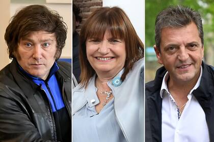 Bullrich daría su apoyo a Javier Milei para el ballotage