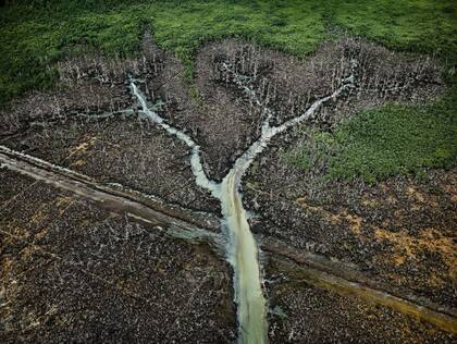 Búnker de petróleo #2, Delta del Níger, Nigeria, 2016