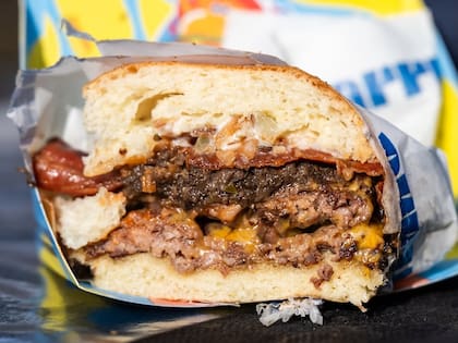 Burgerpalusa