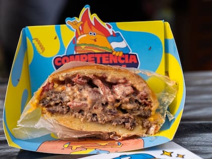 Burgerpalusa