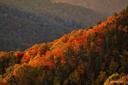 Burnsville es uno de los pueblos mágicos para realizar una escapada en otoño (Instagram/@travishuffstetlerphotography)