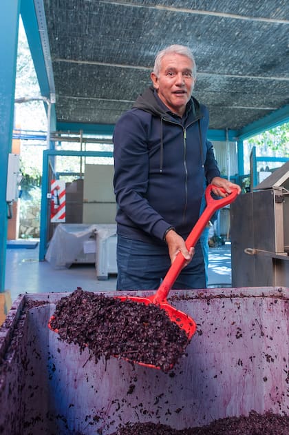 Burruchaga, uno de los campeones que más conoce sobre vinos