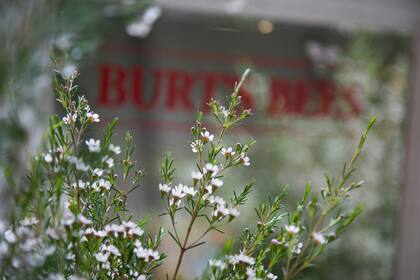 Burt´s Bees es la marca líder en cuidado natural y eco-amigable de la salud y la belleza