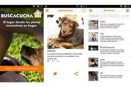 Buscacucha está disponible para dispositivos Android, y permite localizar cuáles son los perros en adopción que se encuentran más cerca en una zona