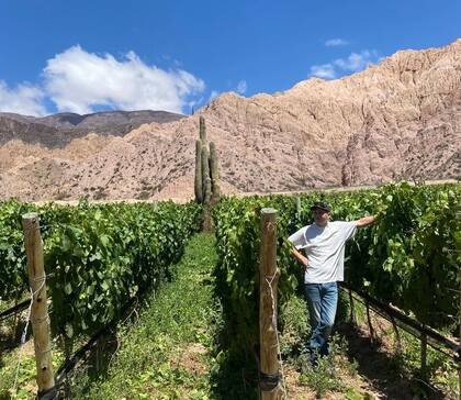 "Buscamos viñas que nos emocionen, rodeadas de paisajes que podamos trasmitir a través del vino que elaboraremos", afirmó Ulises Fontana, agrónomo integrante del proyecto Sucus
