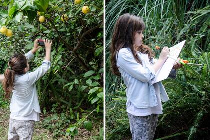 Buscar el lugar, organizar los materiales, y que los niños elijan una planta y la dibujen. Con los dibujos realizados pueden armar el “Álbum de las plantas de mi jardín”.