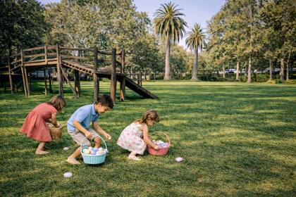 Búsqueda de huevos de Pascuas en Las Vasijas Restaurante