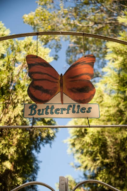 Butterflies, un alto obligado para los que llegan a Pueblo Liebig, muy cerca de Colón.