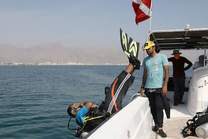 El equipo de buzos, con ayuda de voluntarios, ya instaló más de 9000 corales en 600 metros cuadrados en el último año