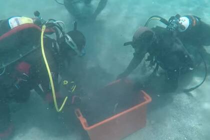 Buzos de la unidad arqueológica subacuática de la Superintendencia de Arqueología, Bellas Artes y Paisaje de Sassari y Nuoro, junto con los Carabinieri de la Unidad de Protección del Patrimonio Cultural de Cerdeña y la Unidad Subacuática de los Carabinieri de Cerdeña rescataron el tesoro numismático del fondo de las aguas