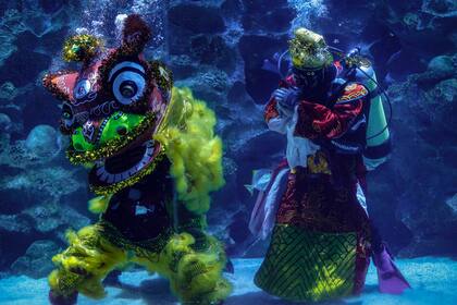 Buzos disfrazados realizan la danza del león tradicional china mientras nadan en un acuario gigante en Kuala Lumpur, Malasia, para conmemorar las celebraciones del Año Nuevo chino