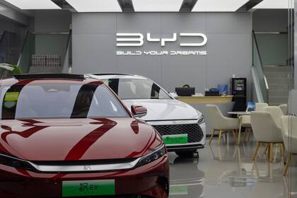 BYD se perfila como el principal competidor de Tesla (Archivo)
