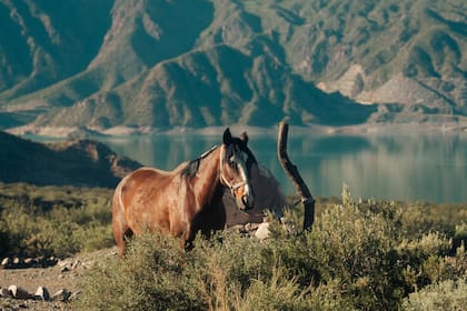 Cabalgar entre montañas, uno de los ejes de la propuesta.