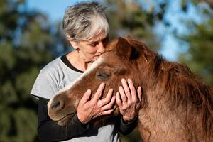 Caballos de Quilmes acoge hoy a 150 animales en recuperación