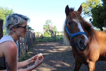 Algunos animales rescatados, como la yegua Jade, consiguen adoptantes