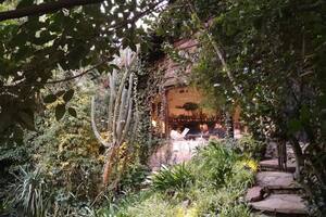 La casita de té oculta en el bosque Peralta Ramos que sorprende a los turistas