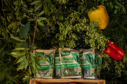 Cabe destacar que forman parte del proyecto un equipo de diez especialistas del INTA que trabajan en tres estaciones experimentales de Mendoza, además de un grupo de siete horticultores que no solo brindan capacitaciones y acompañamiento a la totalidad de los productores que proveen a la compañía, sino que también les proporcionan asistencia técnica para la implementación de prácticas regenerativas.