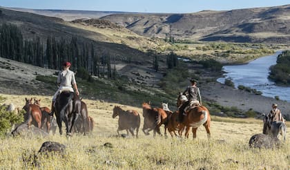 Cabezas estudió Equine Science y hoy impulsa una crianza inspirada en las técnicas de Monty Roberts