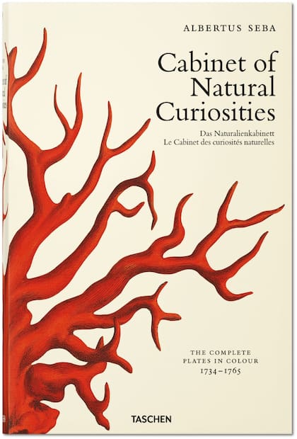 Cabinet of Natural Curiosities (Vitrina o armario de curiosidades naturales) de Albertus Seba