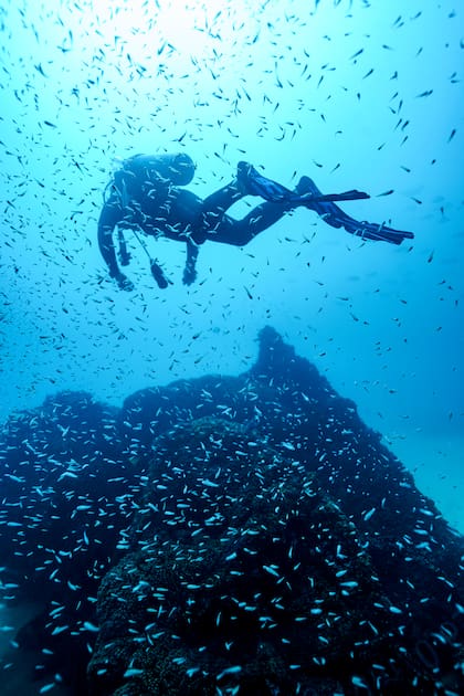 Cabo Pulmo tiene el arrecife de coral más grande del Golfo de California y es posible bucear ahí