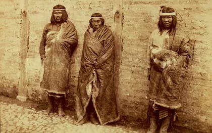 Caciques Canario, Mulato y Purom