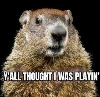 Cada 2 de febrero se celebra el Día de la Marmota, en estados Unidos