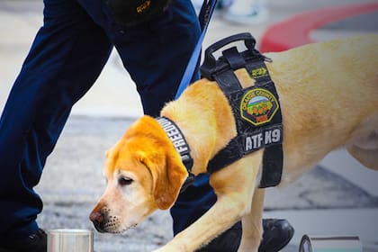 Cada año debió renovar estándares operativos exigidos para mantener la habilitación