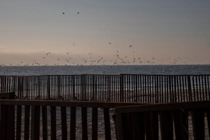 Cada año, miles de migrantes enfrentan rutas llenas de riesgos al intentar ingresar a Estados Unidos